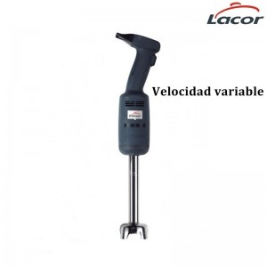 BATIDOR PROFESIONAL VELOCIDAD VARIABLE SERIE 220 BRAZO 16 CM