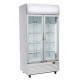 ARMARIO EXPOSITOR REFRIGERACION DC 800H PIVOTANTES