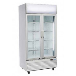 ARMARIO EXPOSITOR REFRIGERACION DC 800H PIVOTANTES